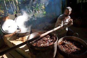Preparo da ayahuasca na comunidade de Céu do Mapiá, no estado do Amazonas. Foto: Eraldo Peres/AP Photo.